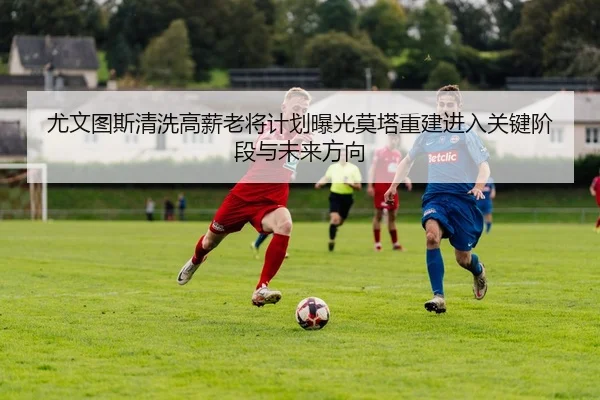 img_1783519886880_72_1_932.jpg