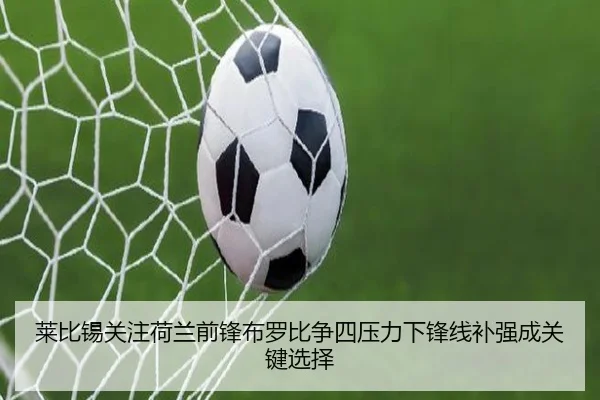 莱比锡关注荷兰前锋布罗比争四压力下锋线补强成关键选择
